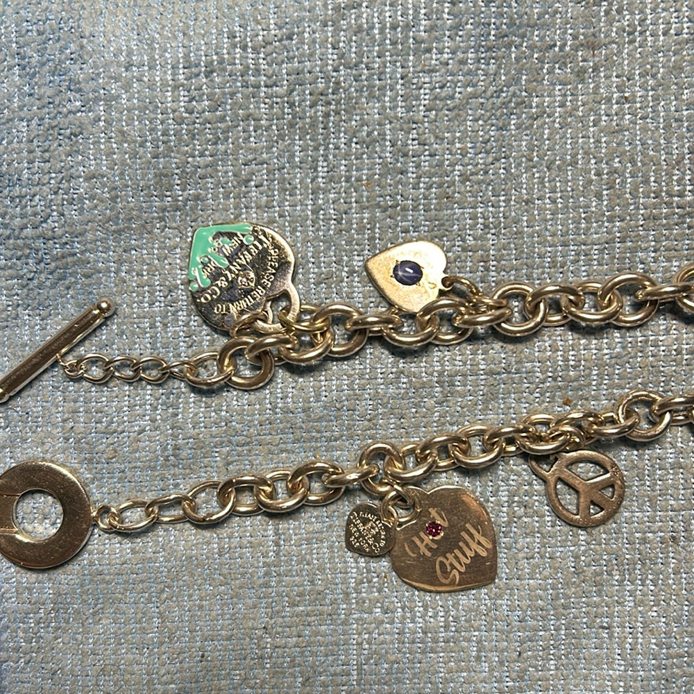 Tiffany & Co Choker 16” + 5 Charms